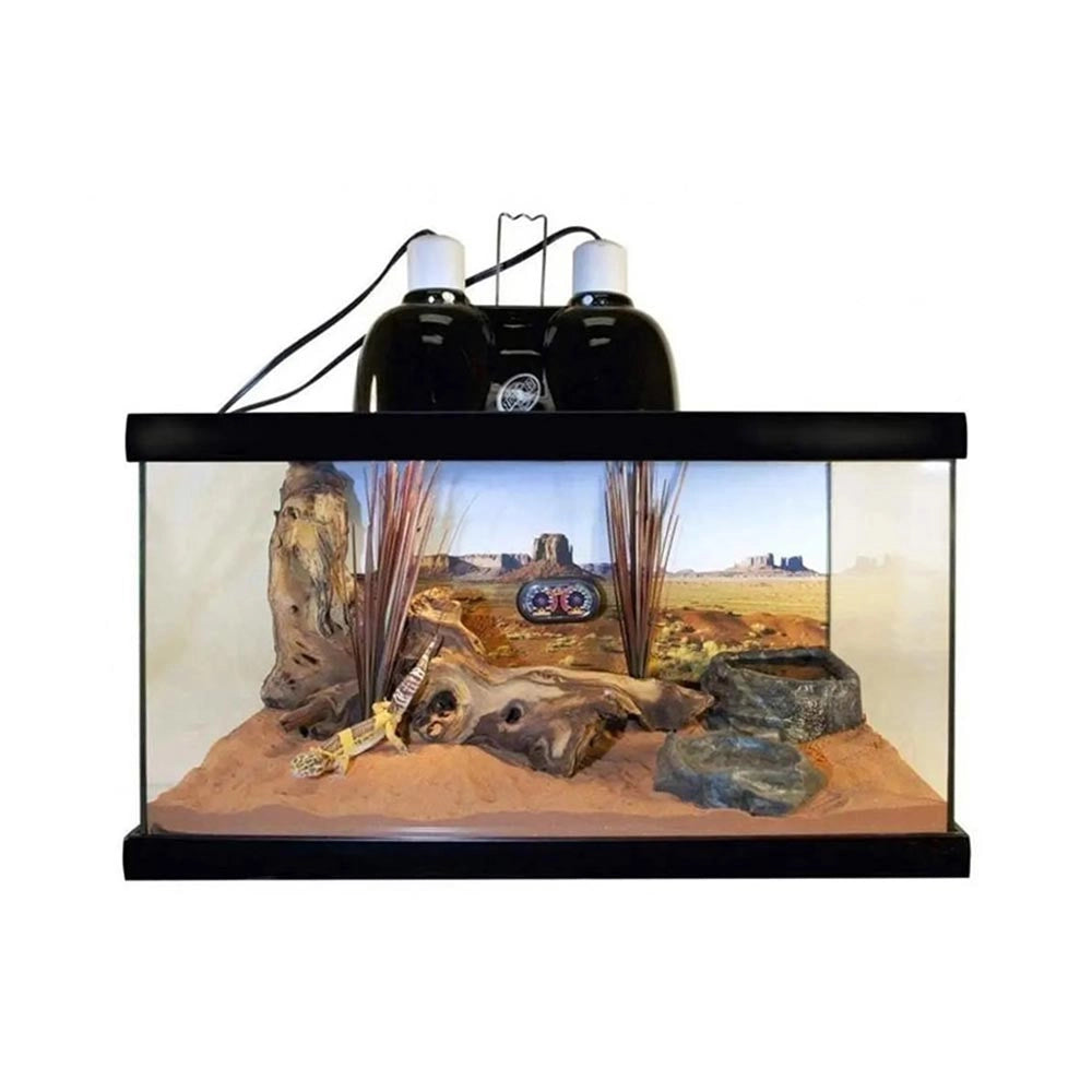 Zoomed ReptiHabitat Leopard Gecko kit - Terrarrio Completo di Accesssori Misure 51 x 25 x 30 cm