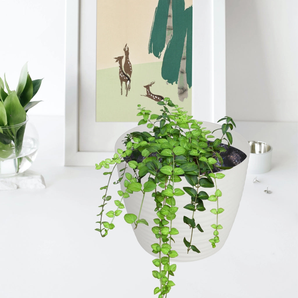 Vaso da fiori KADAX rotondo da 15 cm in plastica bianca
