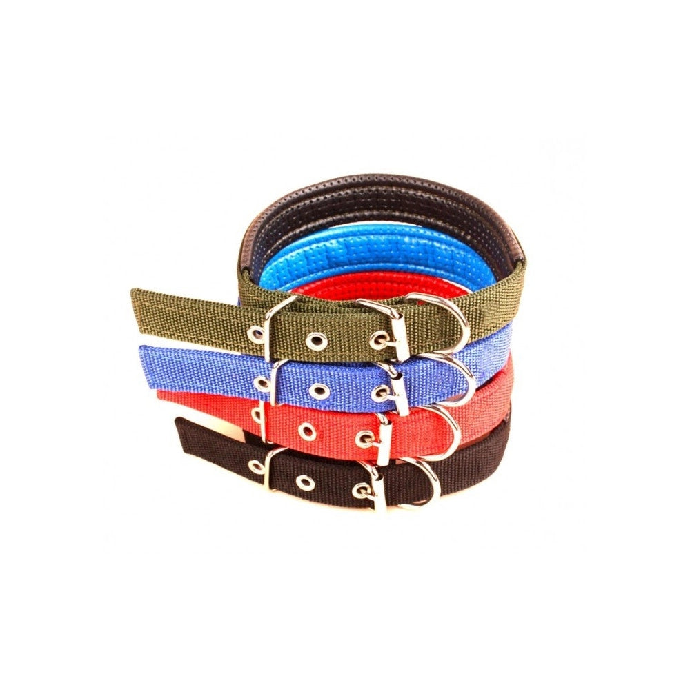 Trade Shop - Collare In Nylon Con Imbottitura Per Cani Piccola Tg. Chiusura Fibbia Regolabile -
