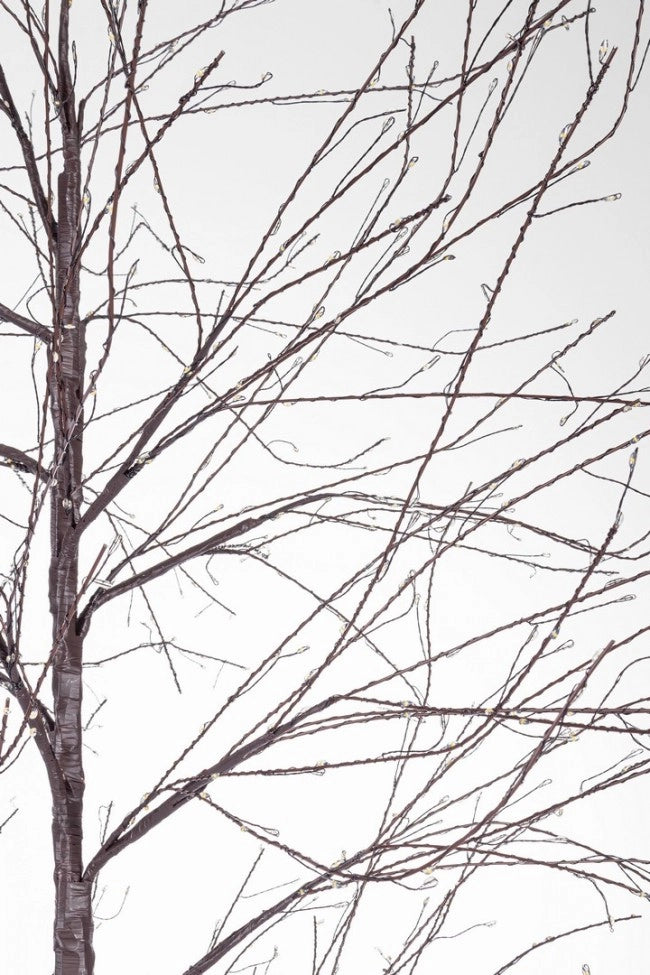 Albero di Natale bunch marrone 2000 microLED classico H210