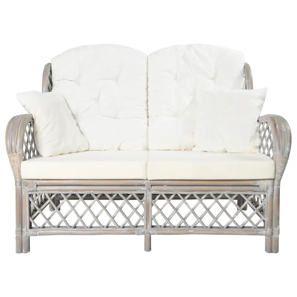 Divano a 2 Posti-Sofa 2 Posti in Rattan Grigio