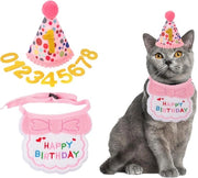 Accessori per una festa di compleanno del gatto, cappello di compleanno del gatto rosa per ragazze, decorazione digitale per una festa di compleanno di un animale domestico, costume