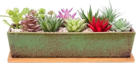 Pannelli per piante succulente in ceramica, 30 cm, con bacino di drenaggio - vasi per cactus fiorito - piante da interni ed esterni - contenitore per bonsai basso - decorazione per finestre - arredo per la casa