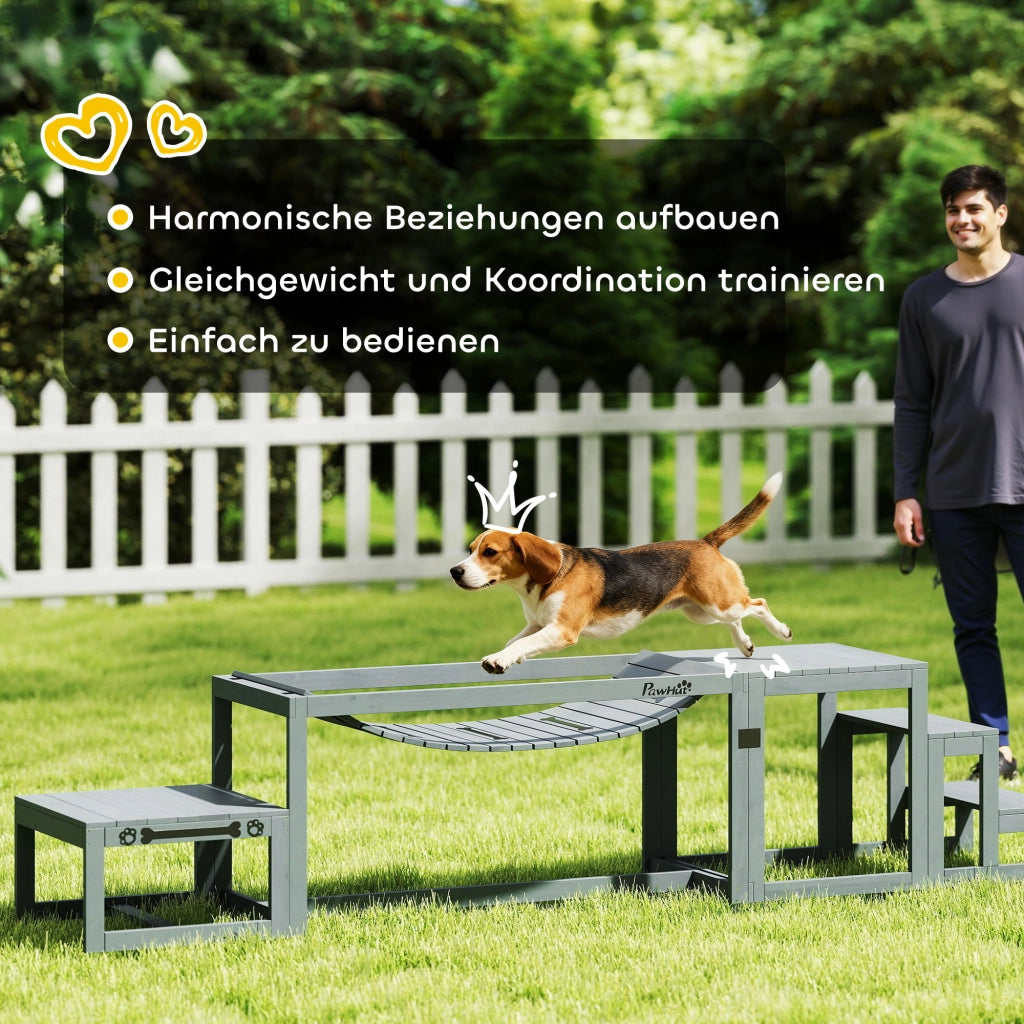 Set Agility per Cani ¨C zephmum ¨C Grigio, Legno di Abete, 117x50x56 cm