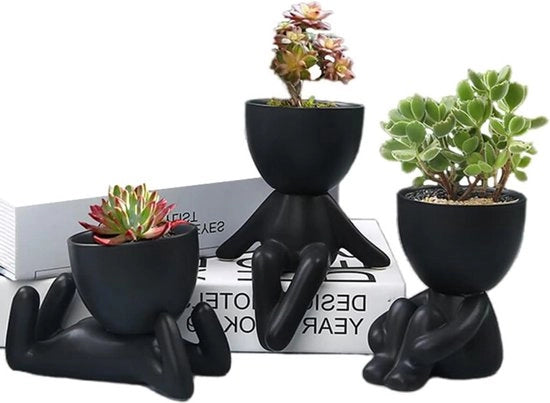 Vaso Ceramico per Succulente, Ornamento per Giardino e Decorazione di Interno, Moderno, Creativo, 3 pezzi