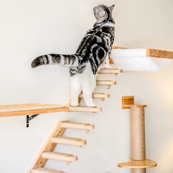 Trappola per gatti da parete, sedile per gatti in legno di gomma, per gatti fino a 10 kg, con corda di juta per arrampicarsi