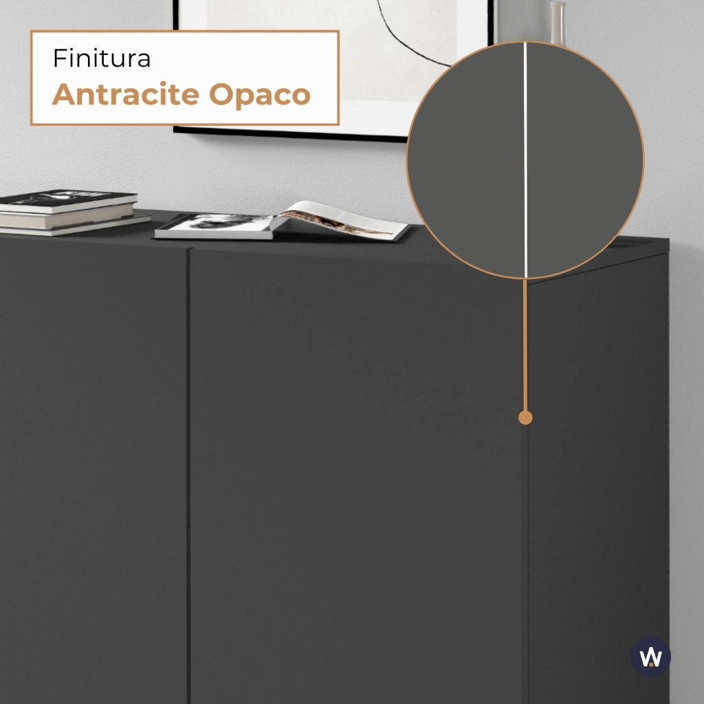 WHOUS Armadio multiuso Easy a 2 ante antracite opaco 79,20x38x86 cm