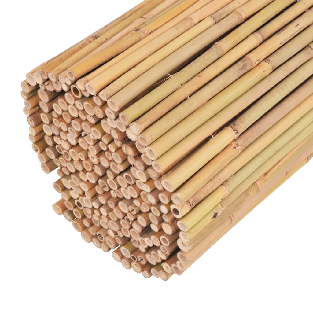 Recinzione in Bambù 300x100 cm 142683