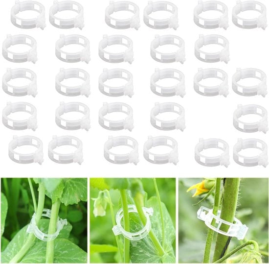 Tasselli di plastica per il sostegno delle piante e delle colture - 200 pezzi per cetrioli, viti e fiori