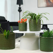 Vaso da esterno in ceramica Ø37 cm, verde oliva lucido, resistente al gelo, con foro di drenaggio