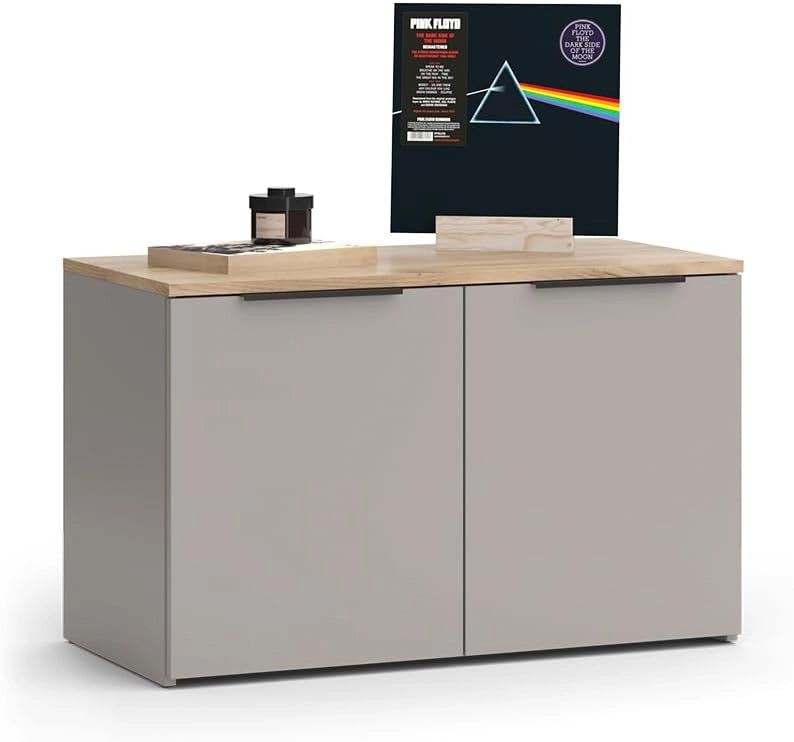 Credenza Wido, Grigio, 80 x 50 cm con 2 porte, adatto per riporre abiti e oggetti per la casa