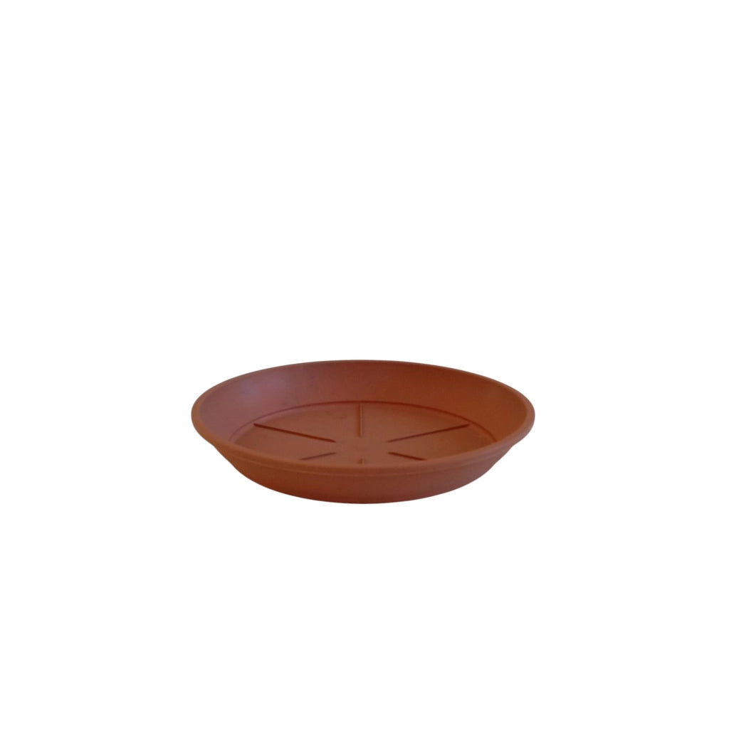 SOTTOVASO CRETA D.22XH3,5CM COLOR TERRACOTTA