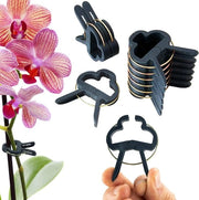 Clip per piante - 60 pezzi - 6cm - Per tomate, vite, rose e piante rampicanti