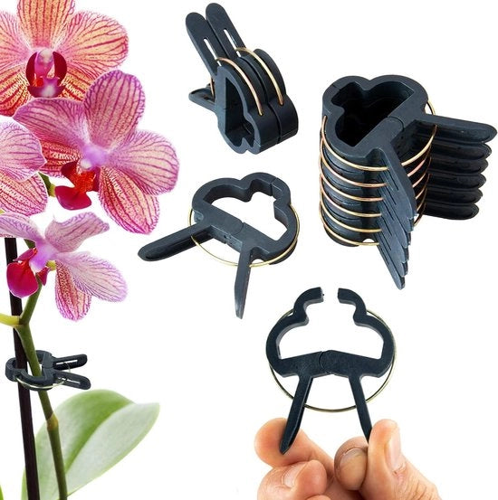 Clip per piante - 60 pezzi - 6cm - Per tomate, vite, rose e piante rampicanti