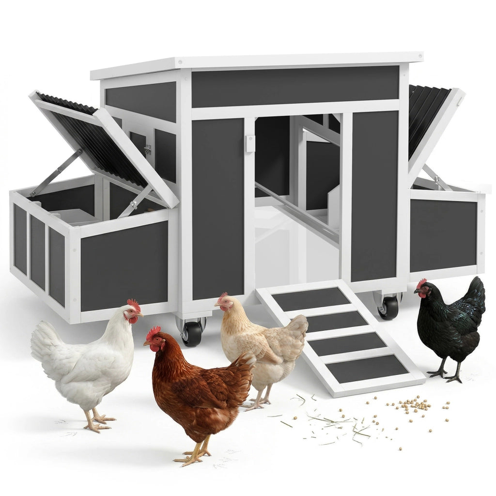 Pollaio in Legno per Galline con Nidi ¨C zephmum ¨C Grigio Scuro 100x60x80