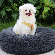 Letto per cani, Cuscino per cani 60cm, Porta cani, Lavabile, Cuscino per cani, Sacco per cani, Divano per cani, Cuscino per gatti, Letto per cani e gatti, colore grigio scuro