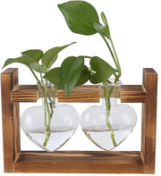 Terrario a forma di fiore - Vaso di fiori in vetro borosilicato - Stendardo in legno - Piante di hydrocultura - Decorazione per ufficio - 1/2/3 flaconi