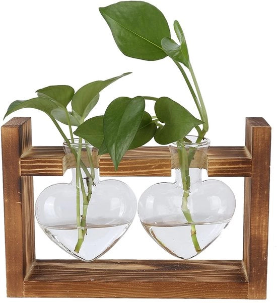 Terrario a forma di fiore - Vaso di fiori in vetro borosilicato - Stendardo in legno - Piante di hydrocultura - Decorazione per ufficio - 1/2/3 flaconi