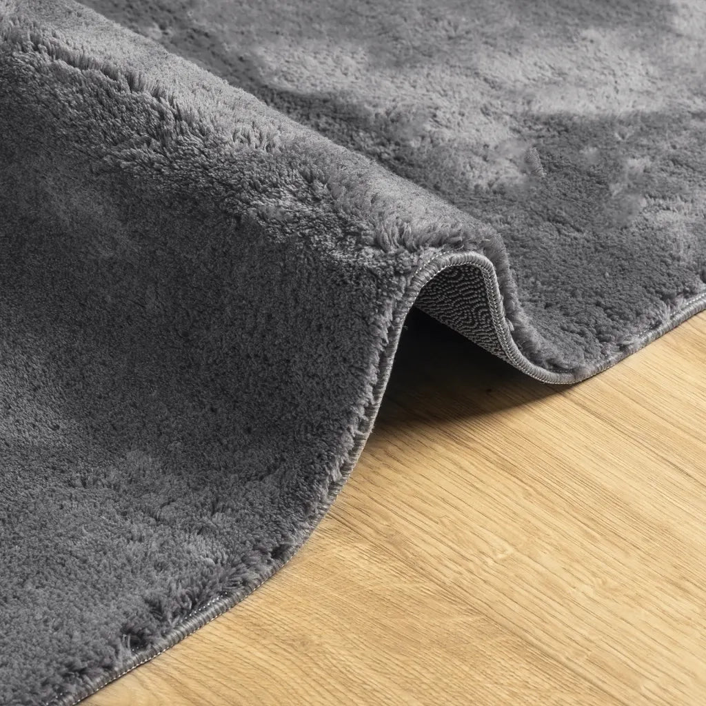 Tappeto a Pelo Corto HUARTE Morbido Lavabile Antracite 80x150cm 374995