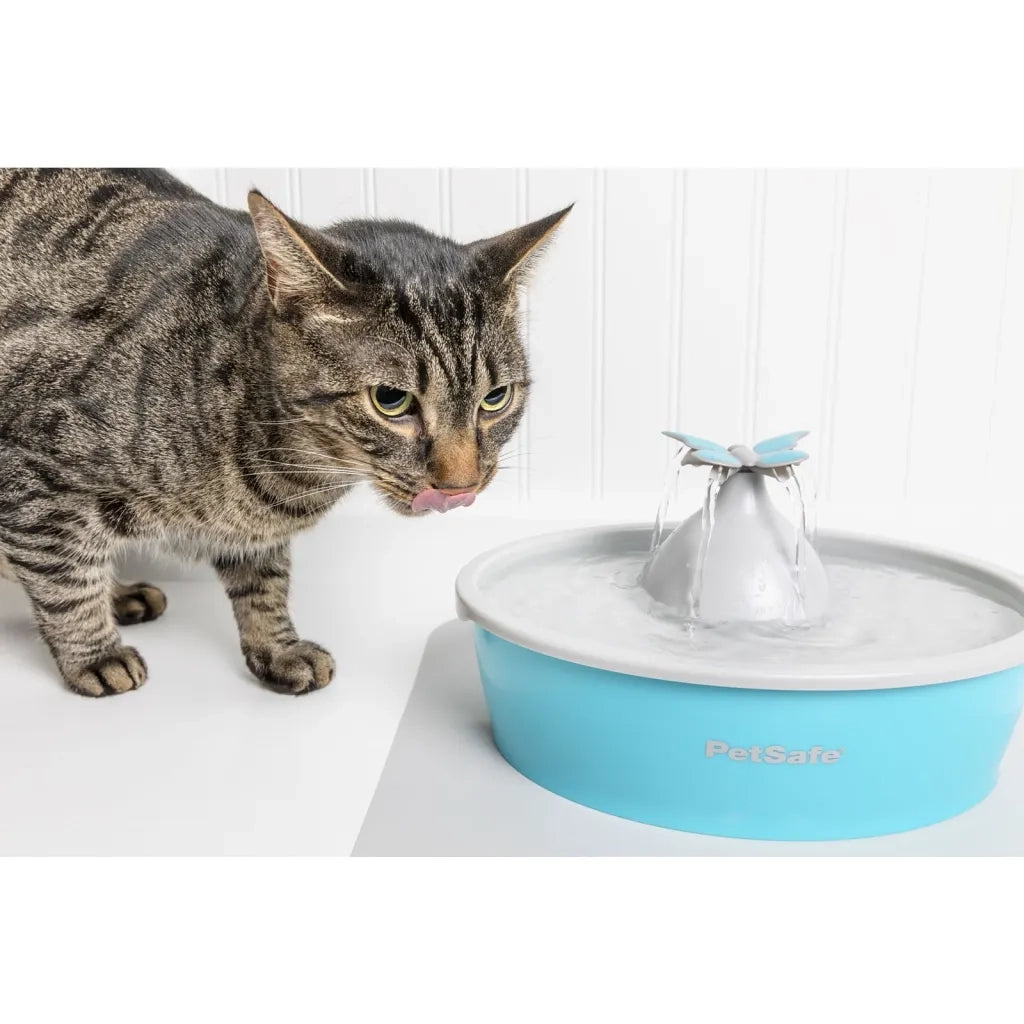 PetSafe Fontana per Animali Domestici Drinkwell con Farfalla 1,5 L 444457