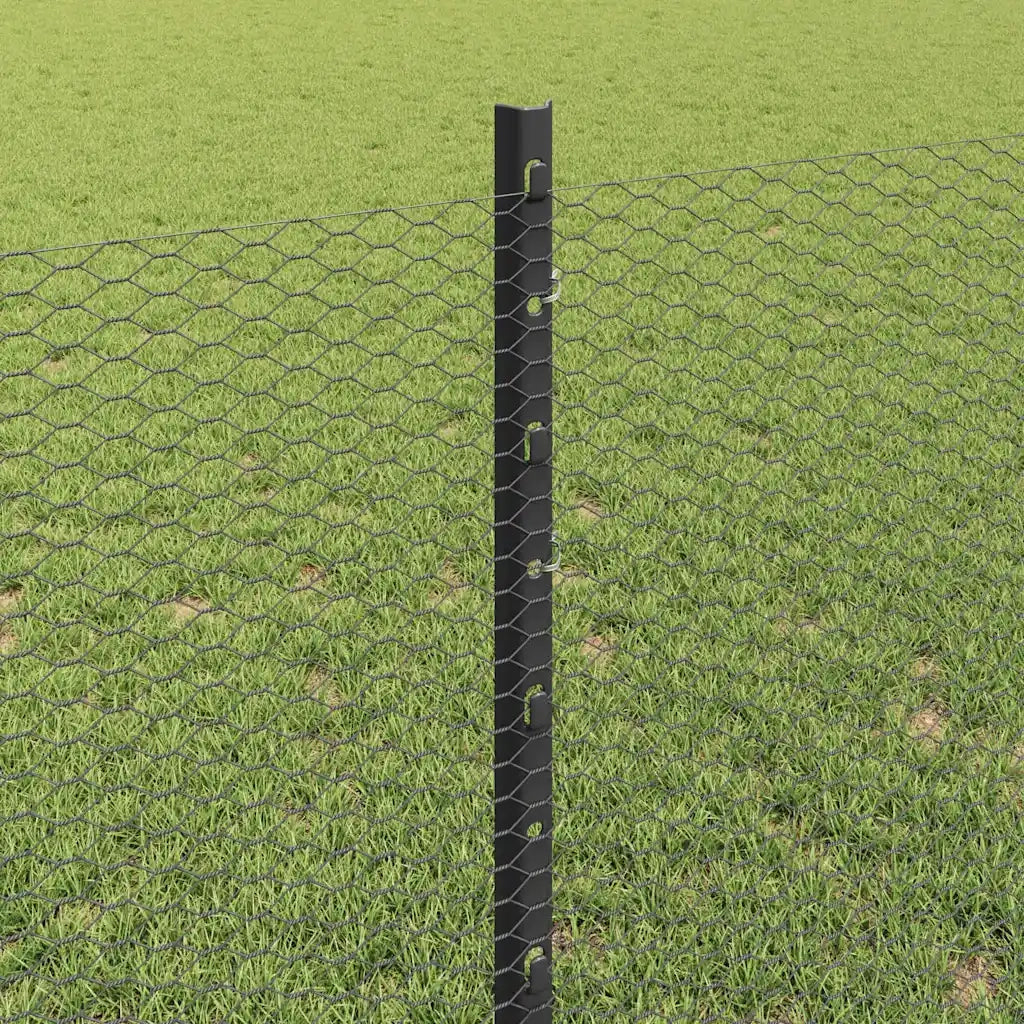 Recinzione da Giardino | Recinzione con Posto Grigio