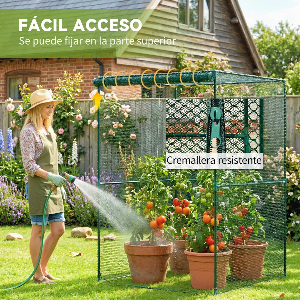 Serra per Giardino ¨C zephmum ¨C Verde 120x120x180 cm Acciaio