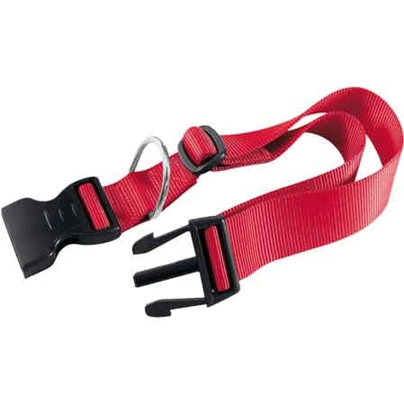 COLLARE PER CANI 'CLUB C' 20 mm x 36÷56 cm - FERPLAST