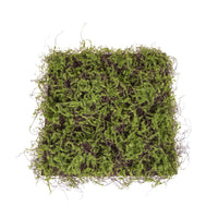 Mattonella di Lichene Dimensione 50x50 cm