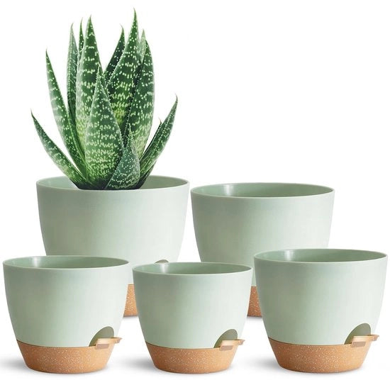 Pianta autosorprendente - Vaso di plastica verde - Ideale per piante da appartamento