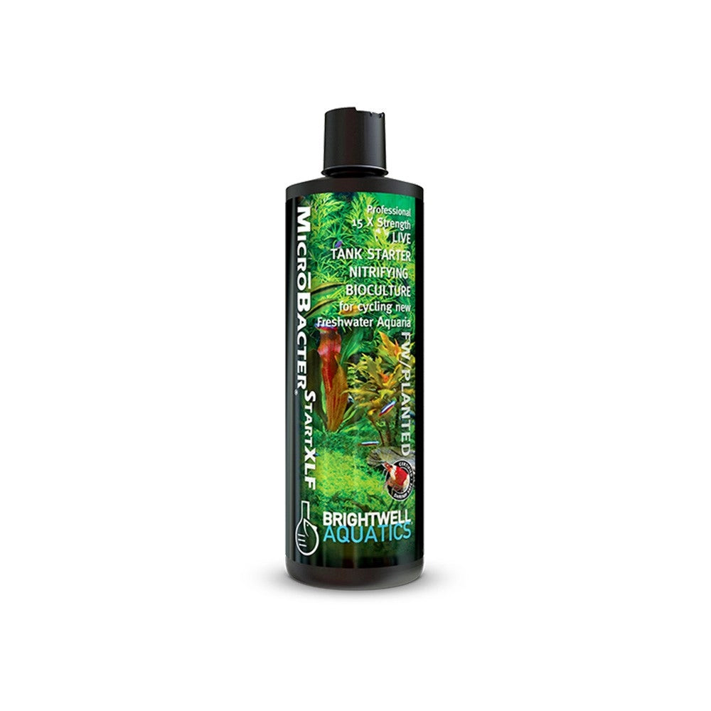 Brightwell Aquatics MicroBacter Start XLF - attivatore batterico superconcentrato per acqua dolce Formato: 500 ml