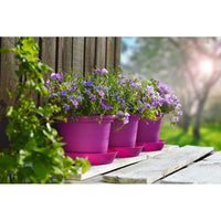 Fioriera Campanula Ø 34 Cm