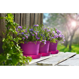 Fioriera Campanula Ø 34 Cm