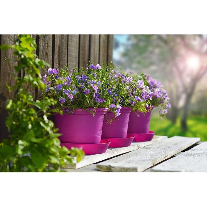 Fioriera Campanula Ø 34 Cm