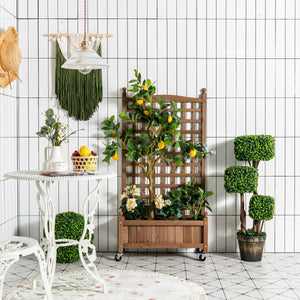 Fioriera in legno massiccio con alto traliccio per verdure, Portapiante per giardino con ruote bloccabili Naturale-Fioriere