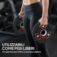 Set di Dischi Pesi 2x2.5 kg con Foro da 5 cm e 3 Impugnature, Acciaio con Rivestimento in Plastica, Nero