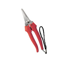 Forbice Cogliuva 190 Inox 31327 Ausonia