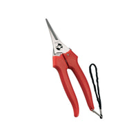 Forbice Cogliuva 190 Inox Punta 31329 Ausonia