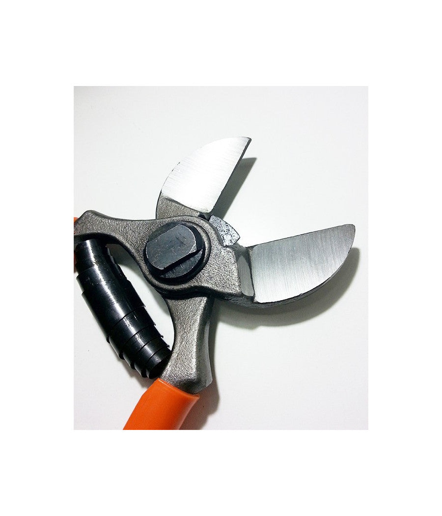 Forbice Da Pota Potatura A Doppio Taglio Per Frutteto E Melo 205 Mm         