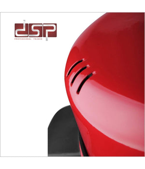 Forno Cuoci Pizza Elettrico Cucina Regina Fornetto Doppia Cottura 1800watt 30cm         