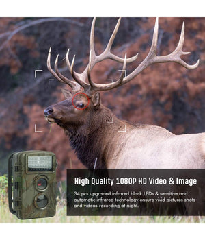 Fotocamera Da Caccia Fototrappola Con Visione Notturna A Infrarossi Sensore Pir         