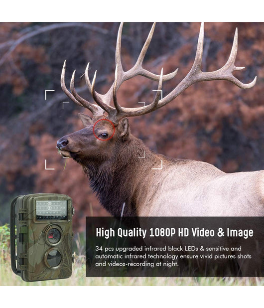 Fotocamera Da Caccia Fototrappola Con Visione Notturna A Infrarossi Sensore Pir         