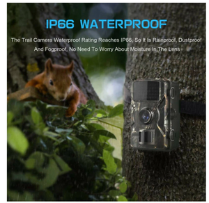 Fototrappola ad altissima risoluzione visione notturna  invisibilE foto e video con audio rilevazione movimento - ZENCOCCO