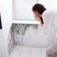 Risanamento pareti sanificante bonificante muffa spore alghe muschi bioattiva *** formato 1 lt, confezione 1