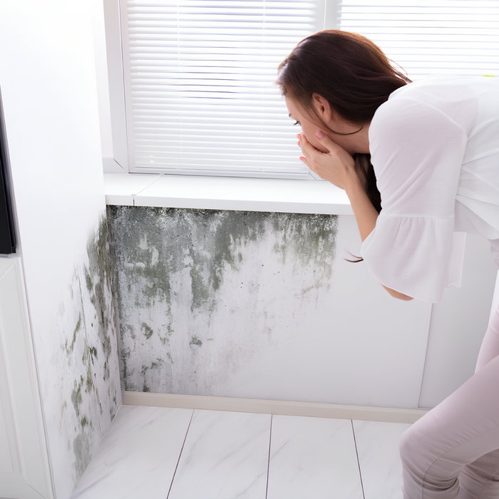 Risanamento pareti sanificante bonificante muffa spore alghe muschi bioattiva *** formato 1 lt, confezione 1