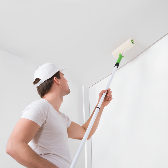 Risanamento pareti sanificante bonificante muffa spore alghe muschi bioattiva *** formato 5 lt, confezione 1