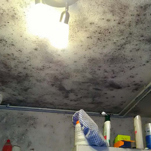 Additivo antimuffa antialga idropitture protezione muri casa fresca ml 200