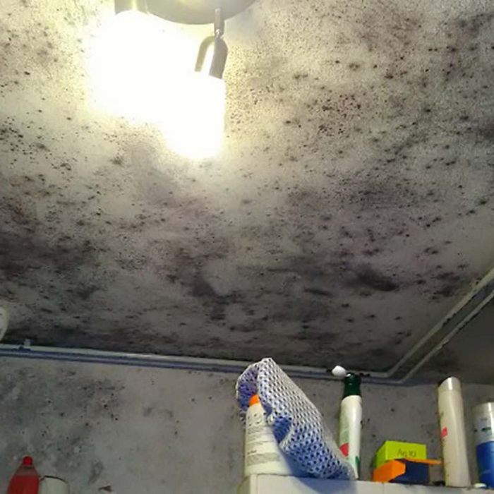 Additivo antimuffa antialga idropitture protezione muri casa fresca ml 200