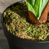 Pianta Tropicale Decorativa Dracena Finta in Plastica con Vaso per Interno ed Esterno, Ф18 x 110cm