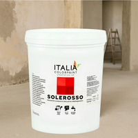 I pre trattamenti primer solerosso fissativo acrilico uniformante trasparente *** formato 1 lt, confezione 1