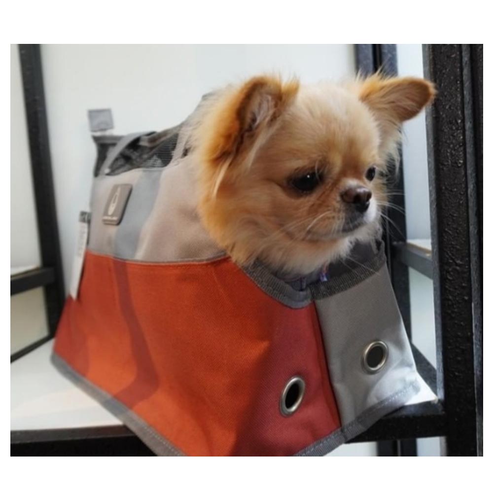 Zu e lu borsa per cani sumatra terra medium fino 6 kg